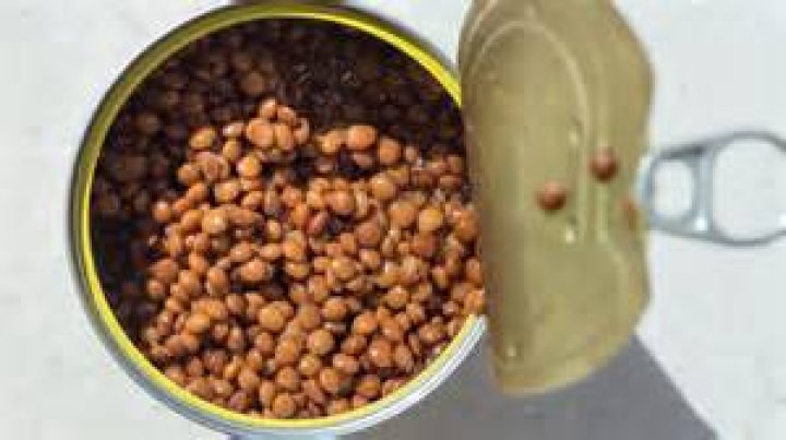 Are canned lentils bad