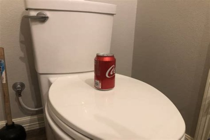 Can Coke unclog toilet