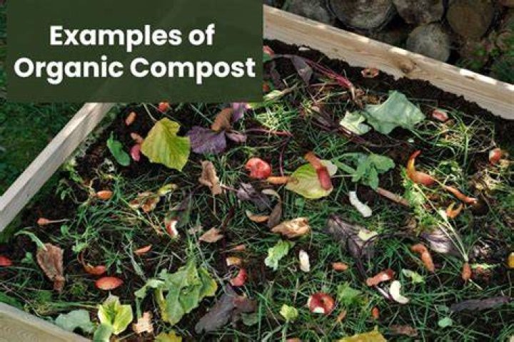 Can compost be organic