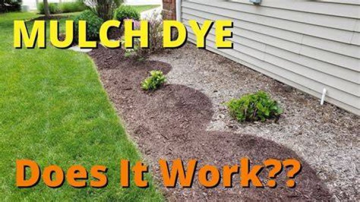 Can I dye my own mulch