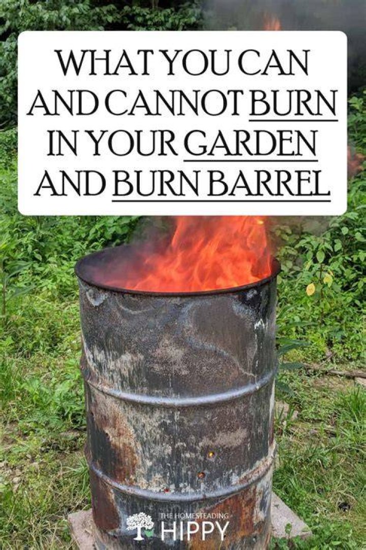 Can you burn Ailanthus