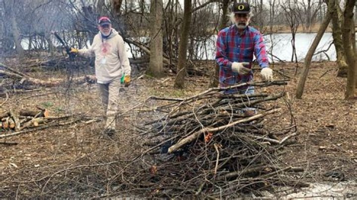 Can you burn buckthorn