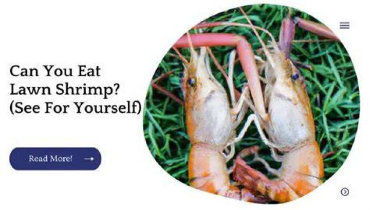 Can you eat lawn shrimp