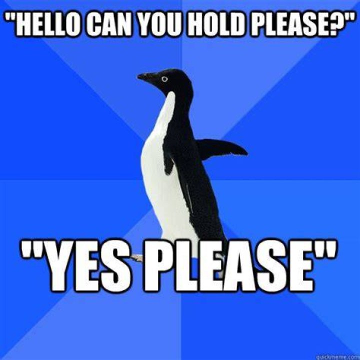 Can you hold a penguin