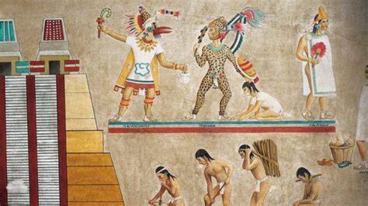 Did Aztecs use cotton