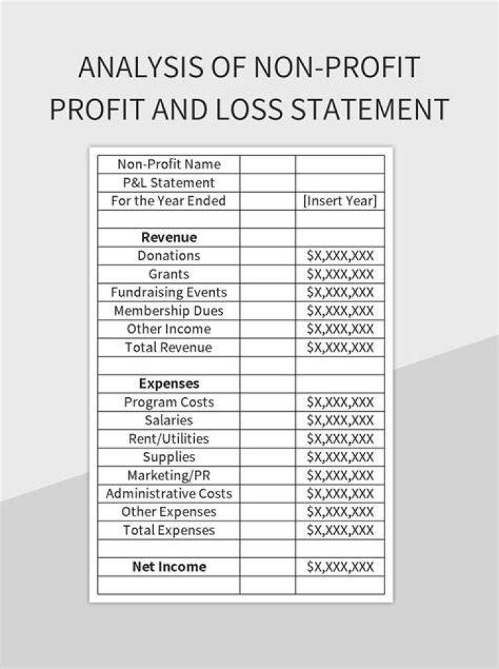 Do nonprofits have profit and loss statements