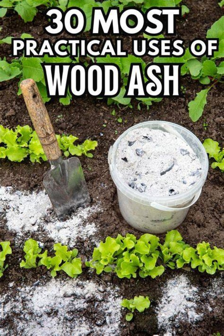 Do peppers like wood ash