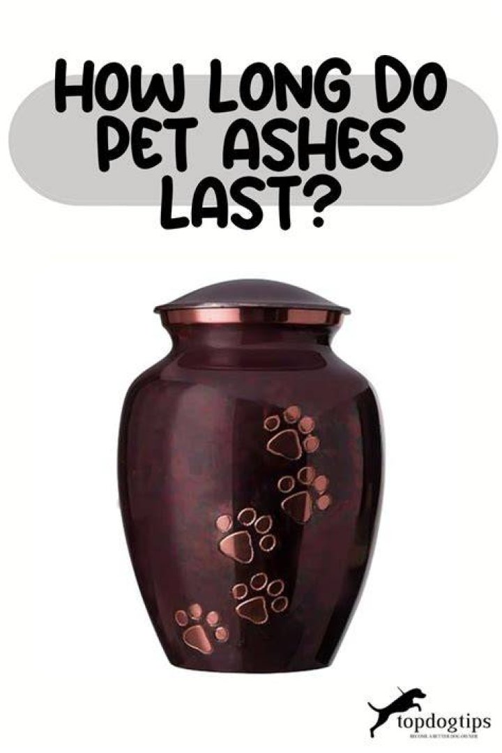 Do you keep pet ashes