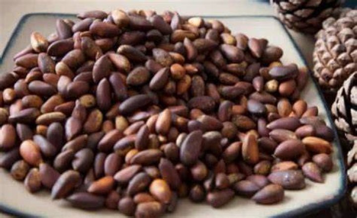 How do you crack pinon nuts