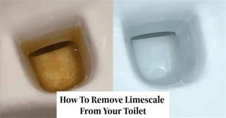 How do you get rid of limescale in toilet cistern