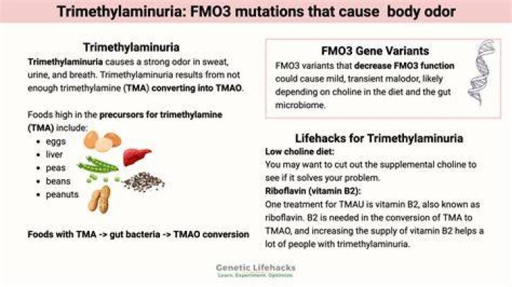 How do you get tested for TMAU