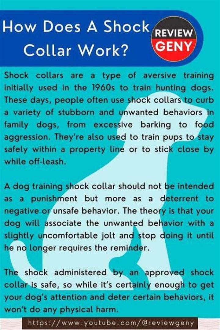 How far away does a shock collar work