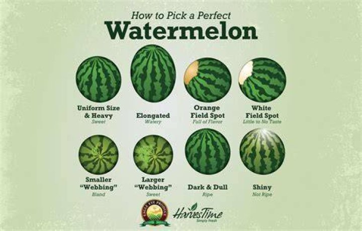 How often do you have to water watermelon