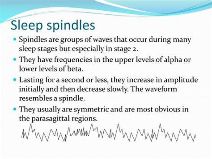 In which stage of sleep do sleep spindles occur quizlet