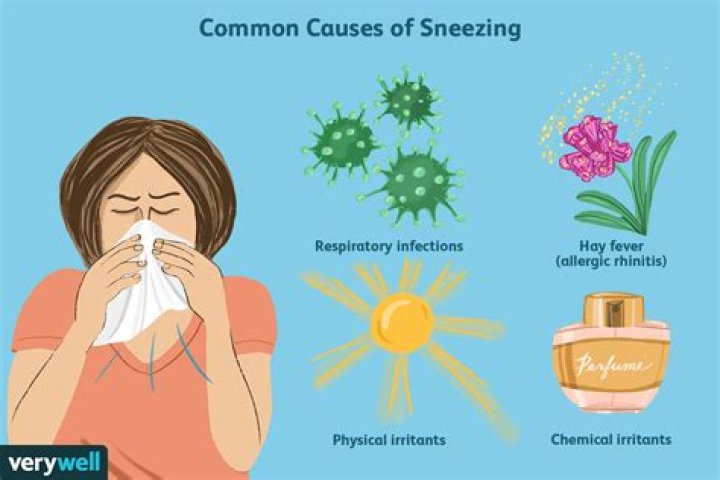 What causes a sneeze attack