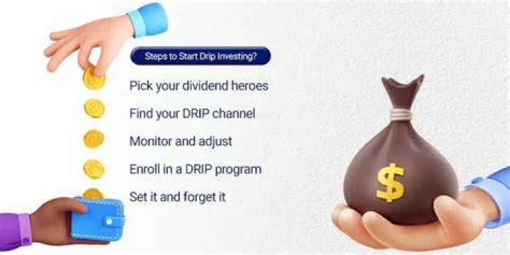 What companies offer DRIP investments