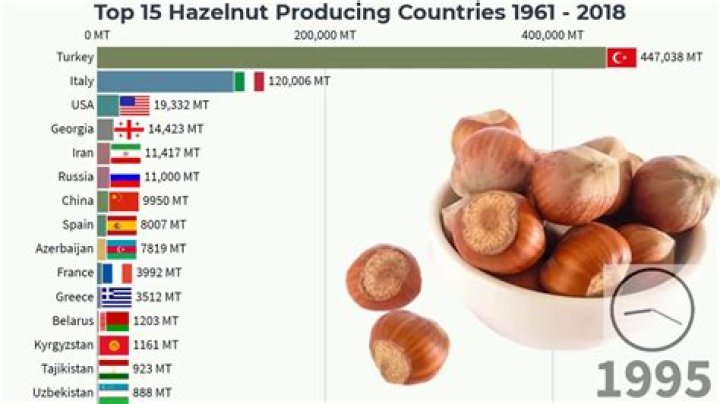 What country grows the most hazelnuts
