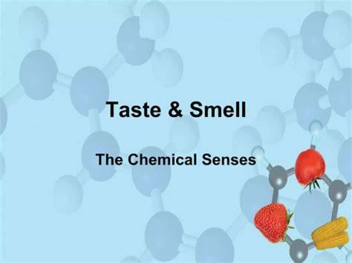 What is a chemical taste