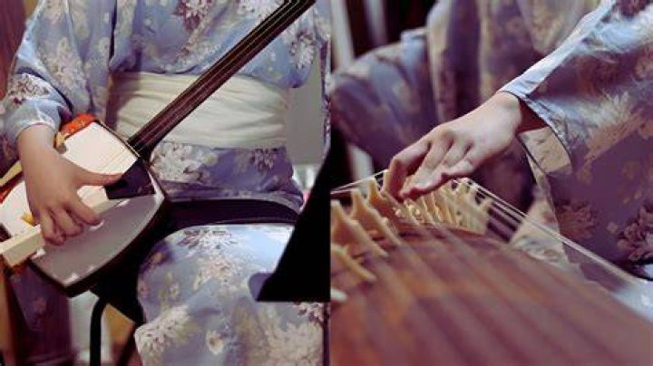 What is a shamisen made of