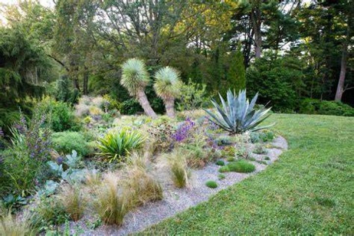What is a xeric garden