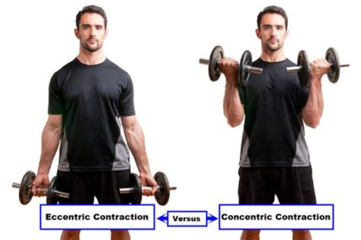 What is an example of a concentric exercise