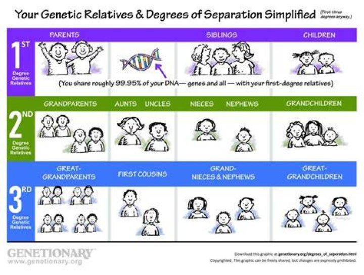 What is considered a second degree relative