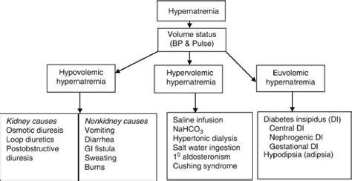 What is hypovolemic hypernatremia