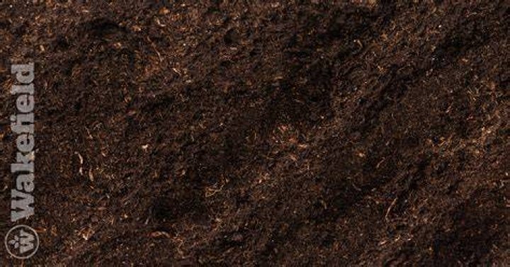 What is in peaty soil