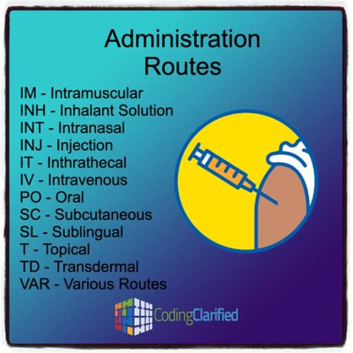 What is route in medical term