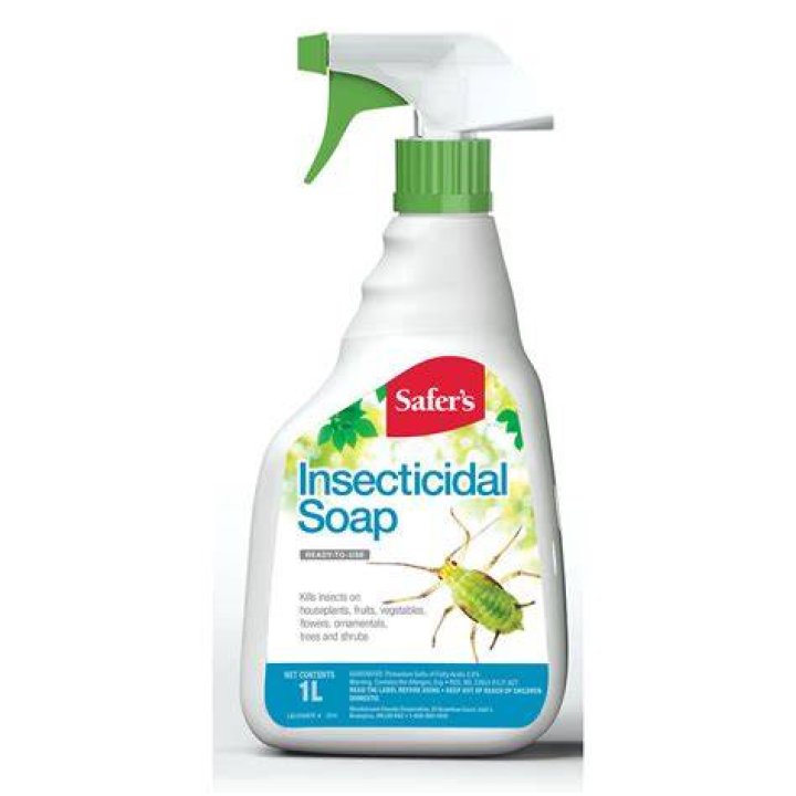 What is Safer Insecticidal Soap