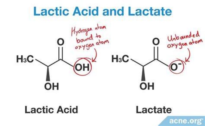 What is the difference between lactate and lactic acid