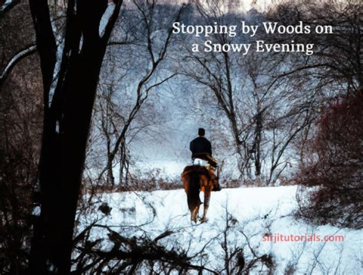 What is the purpose of horse in the poem Stopping by Woods on a Snowy Evening