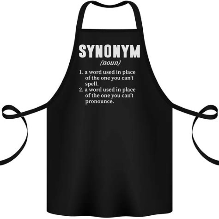 What is the synonym of apron