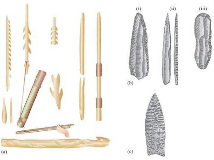 What tools did Cro Magnons use