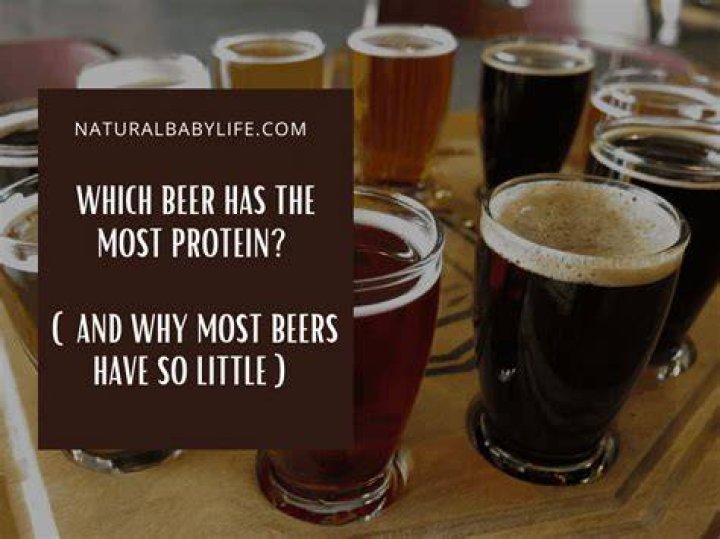Which beer has the most protein