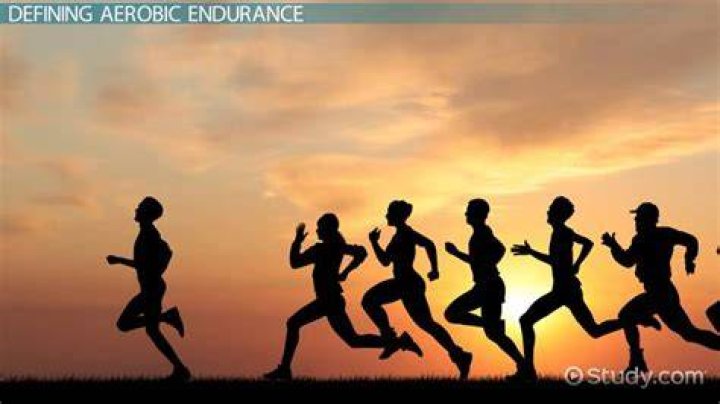 Why do marathon runners need aerobic endurance